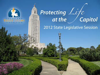 Louisiana Right to Life: Lighting the Way to a Pro-Life Louisiana