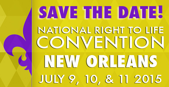 NRL Convention 2015