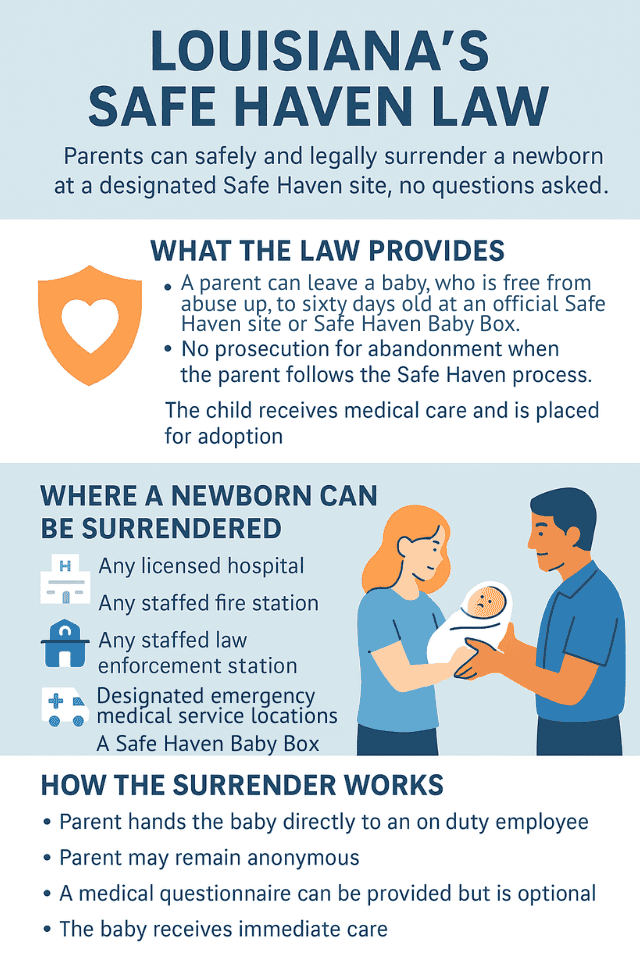 Safe Haven Infograph (1)