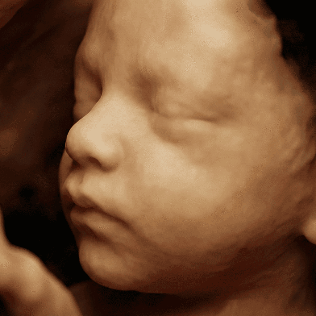 Our First Nine Months